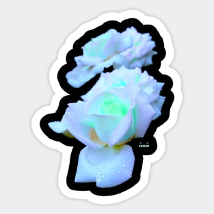 Fluorescent Blue Roses Sticker